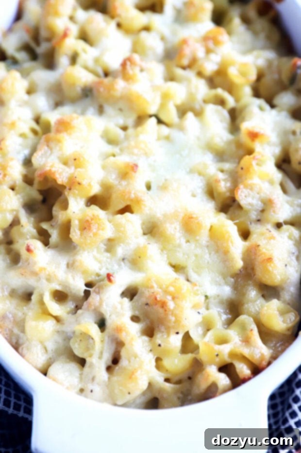 Jalapeño Chicken Havarti Mac and Cheese in a baking dish, freshly baked