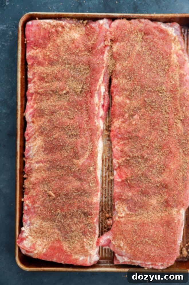 Fall-Off-The-Bone Apple Cider Traeger Ribs 5 ribs rubbed with homemade spice mix on metal sheet pan