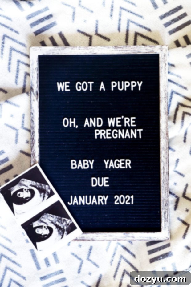 Maternity announcement first trimester recap picture