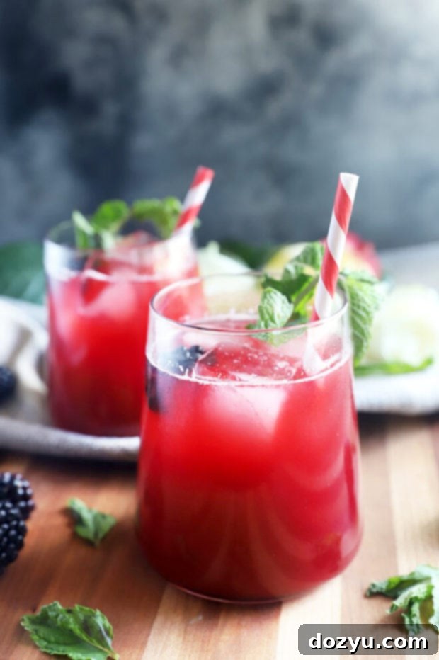 Midnight Berry Vodkade 3 Two glasses of Blackberry Vodka Limeade, garnished with fresh blackberries and mint, sitting on a wooden surface.