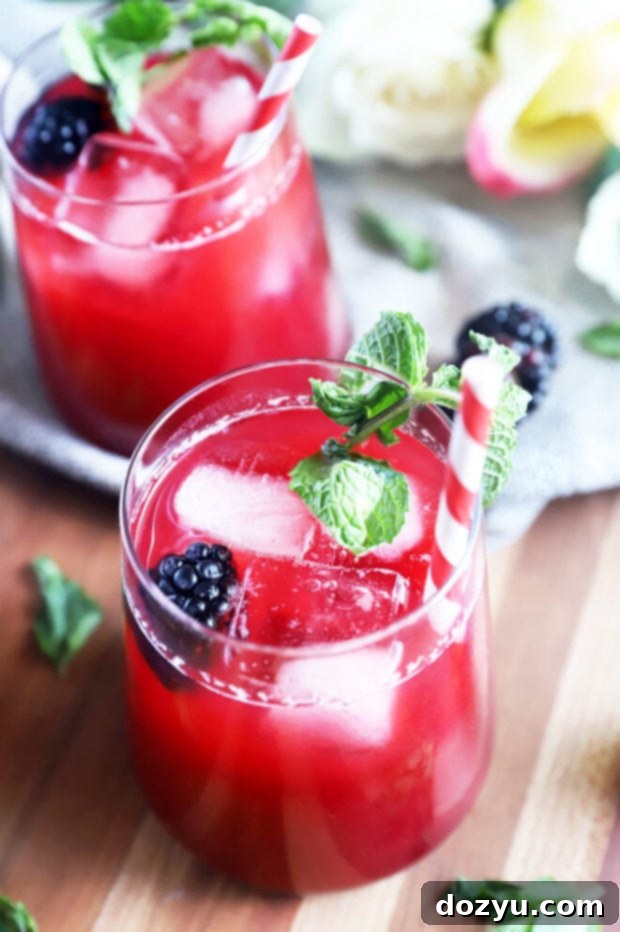 Midnight Berry Vodkade 6 A refreshing glass of Blackberry Vodka Limeade with ice, fresh blackberries, and mint leaves on a light background.
