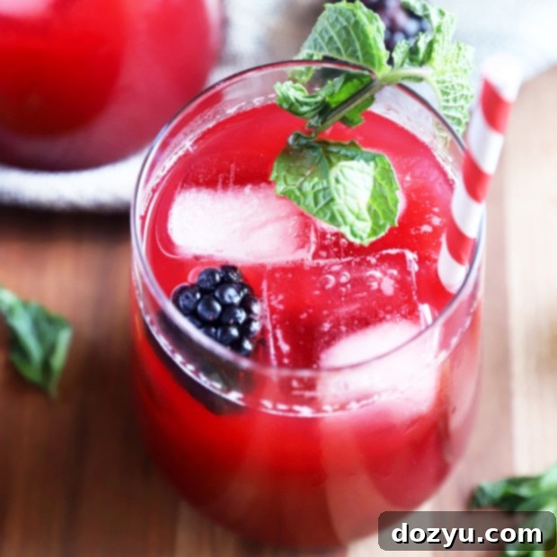 Midnight Berry Vodkade 9 Blackberry Vodka Limeade cocktail with ice, fresh blackberries, and mint garnish