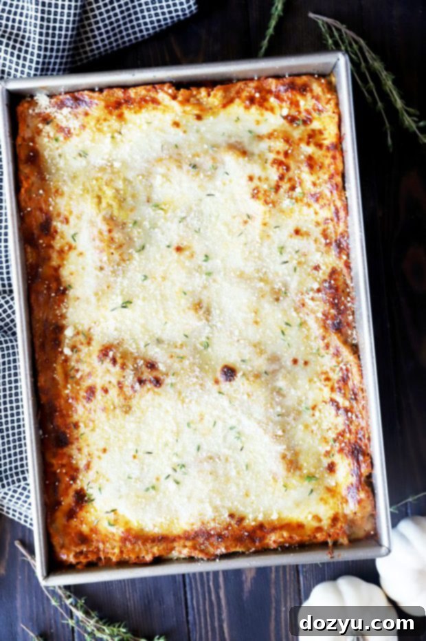 Overhead photo of freezer lasagna