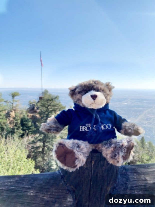 The Broadmoor bear at Cloud Camp image