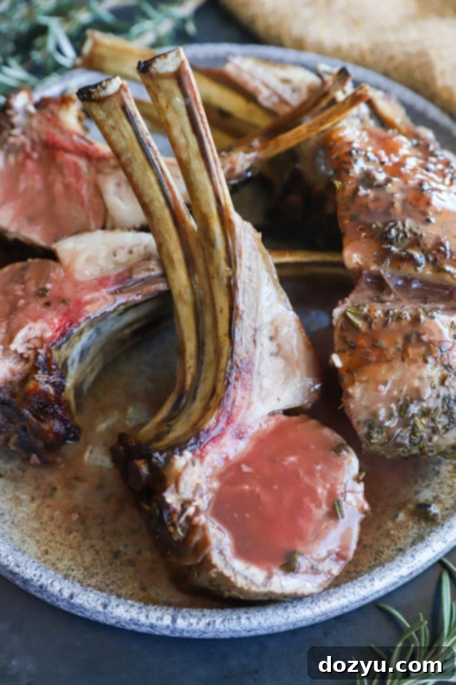 Tender Herb Crusted Lamb Rack with Robust Red Wine Sauce 2 Beautifully roasted Herb Crusted Rack of Lamb, golden brown and garnished with fresh herbs, ready to be served with a side of rich red wine sauce.