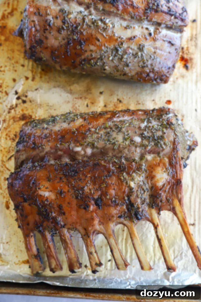Tender Herb Crusted Lamb Rack with Robust Red Wine Sauce 5 Raw lamb racks, expertly frenched and seasoned with an herb rub, arranged on a baking sheet, ready for the oven.