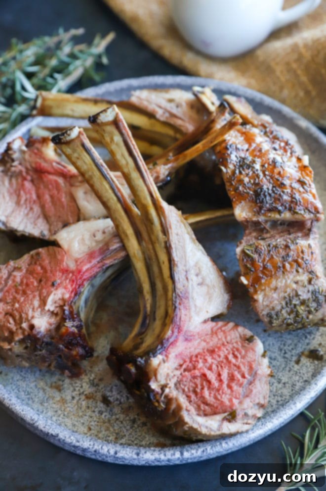 Tender Herb Crusted Lamb Rack with Robust Red Wine Sauce 7 A perfectly cooked herb crusted rack of lamb, sliced and arranged on a serving plate, with a drizzle of red wine sauce and fresh herb garnish.