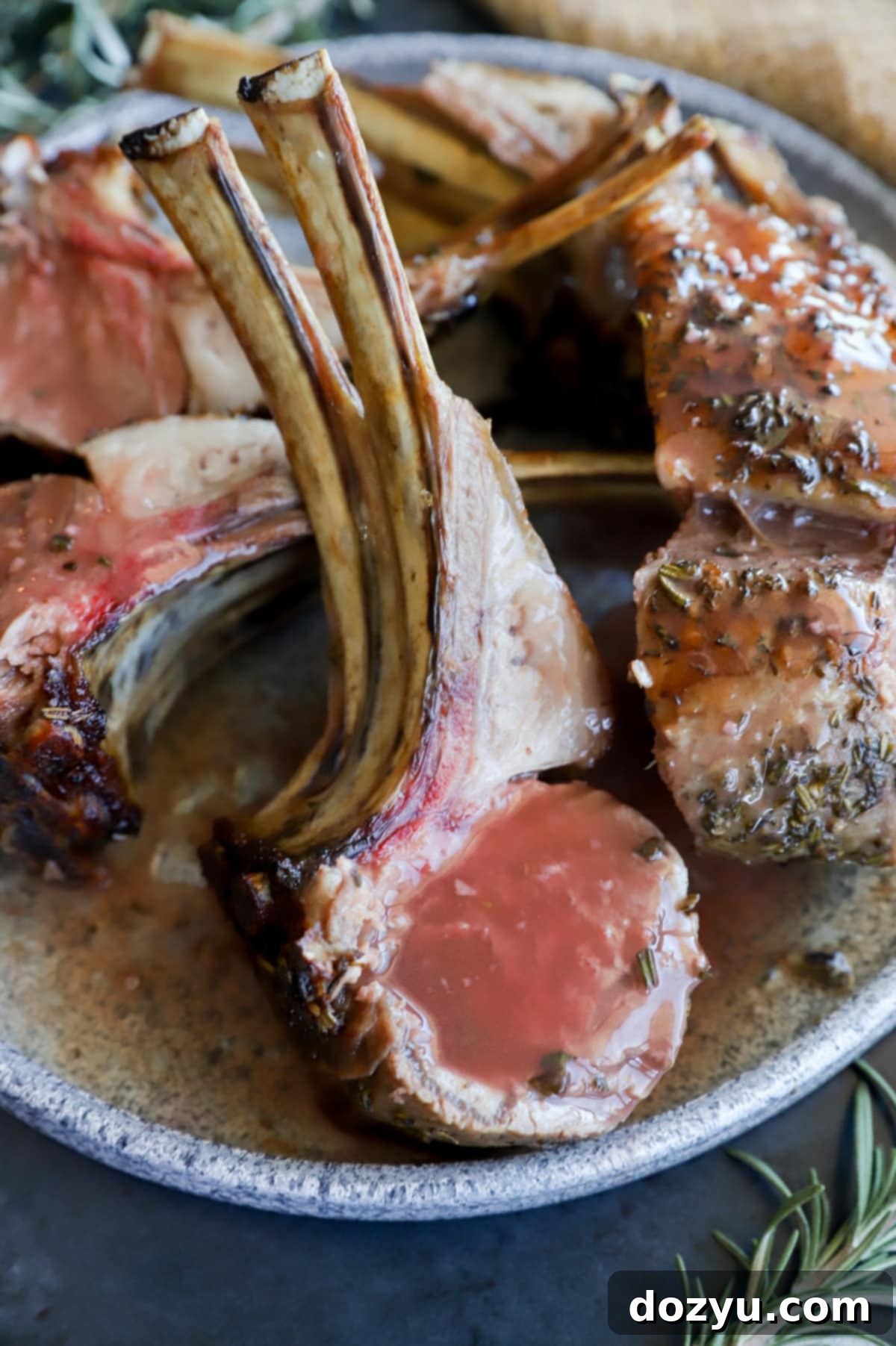 Tender Herb Crusted Lamb Rack with Robust Red Wine Sauce 9 A perfectly cooked rack of lamb served with a side of rich red wine sauce, garnished with fresh herbs.