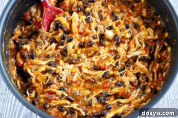 Enchilada filling photo