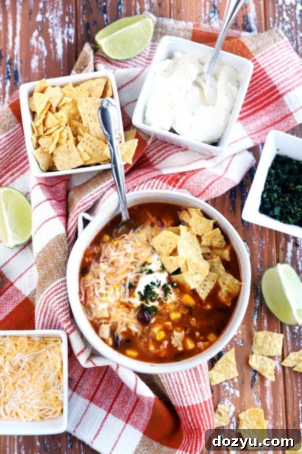Smoky Instant Pot Turkey Enchilada Soup 4 An overhead view of a vibrant bowl of Instant Pot BBQ Turkey Enchilada Soup, garnished with fresh cilantro and cheese, ready to be served and enjoyed after Thanksgiving.