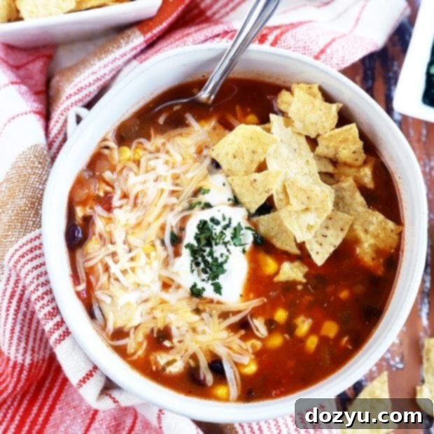 Smoky Instant Pot Turkey Enchilada Soup 10 Instant Pot BBQ Turkey Enchilada Soup recipe thumbnail, featuring a vibrant bowl of soup.