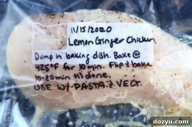 Inside My Freezer Meal Prep Process 3 Lemon ginger chicken marinade image