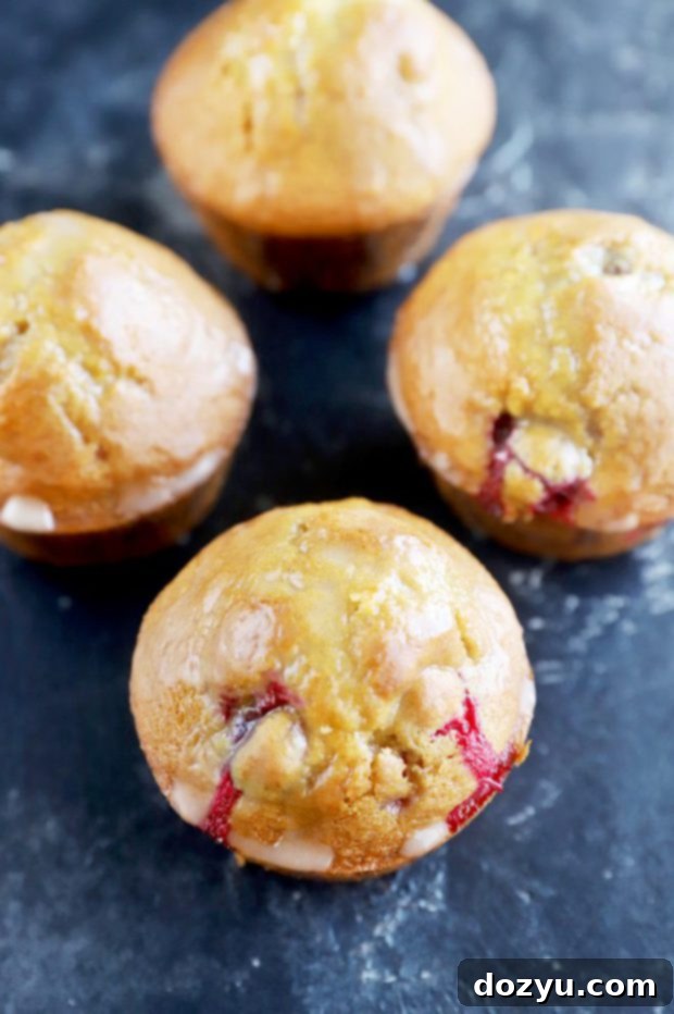 Inside My Freezer Meal Prep Process 5 Cranberry orange muffins image