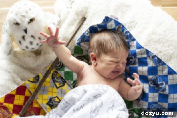 The Day Our Story Truly Began 11 Harry Potter Babycakes image