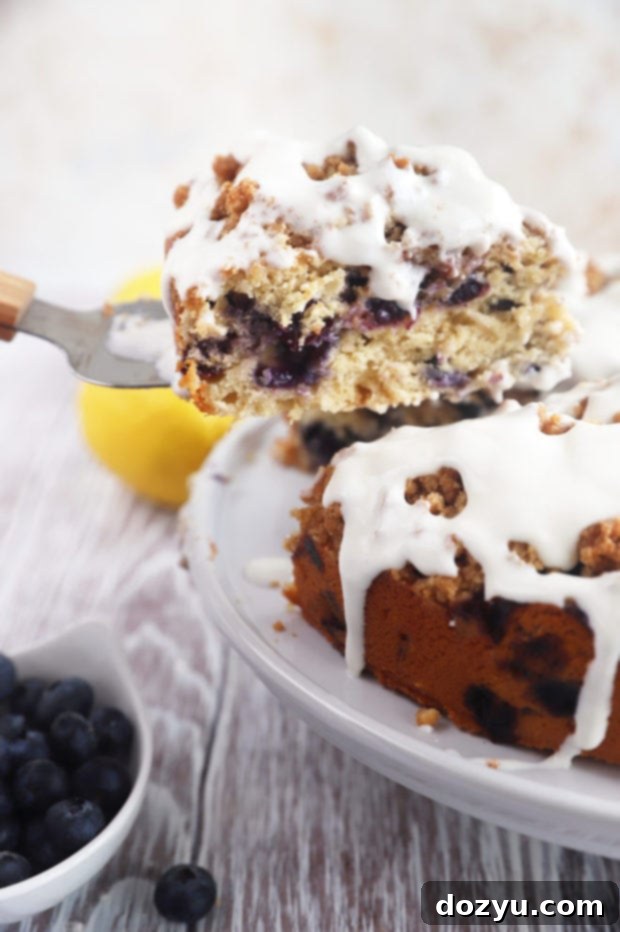 Tangy Blueberry Lemon Streusel Coffee Cake 2 Blueberry cake image of cake slice