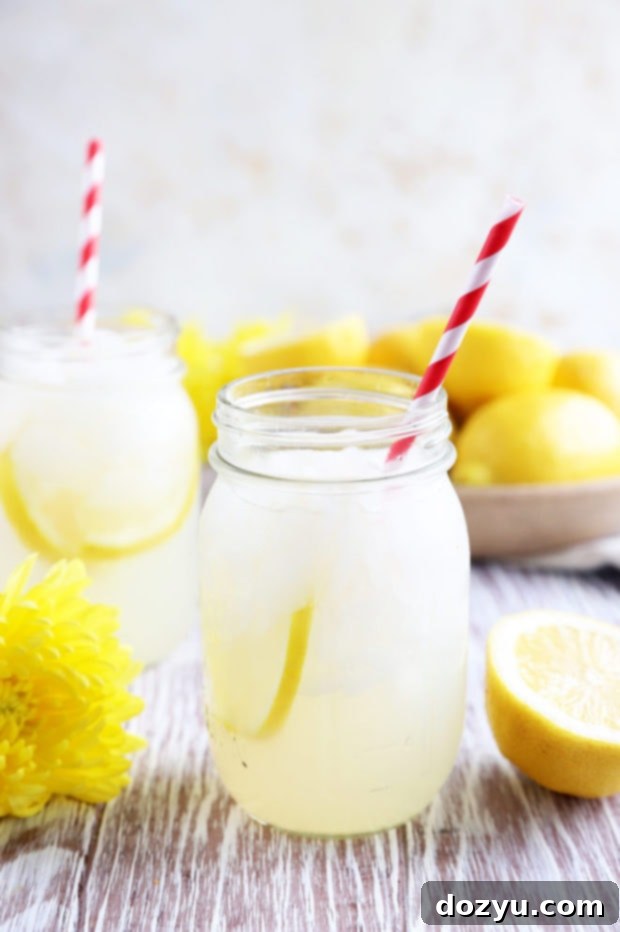 Zesty Vodka Lemonade 2 Picture of homemade vodka lemonade in glasses, garnished with lemon slices