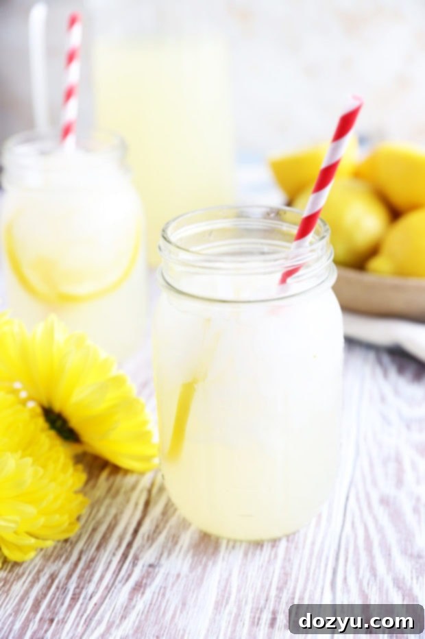 Zesty Vodka Lemonade 7 Yellow flowers and lemonade in jars picture