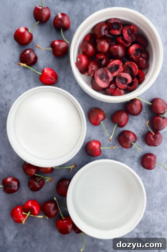 Sweet Cherry Elixir 3 cherries in a bowl, sugar in a bowl, and water in a bowl plus fresh cherries