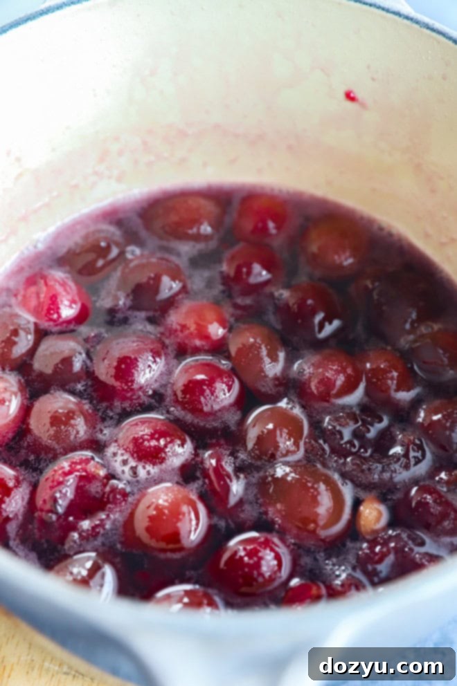 Sweet Cherry Elixir 4 making cherry simple syrup in a saucepan