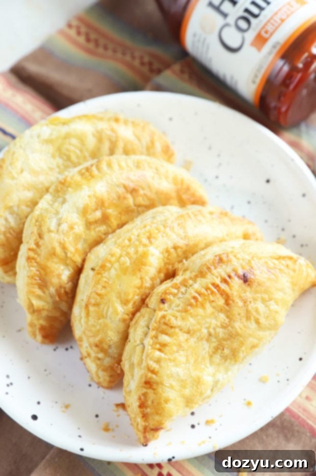 Crispy Chipotle BBQ Steak Air Fryer Empanadas 7 Empanadas on a plate picture