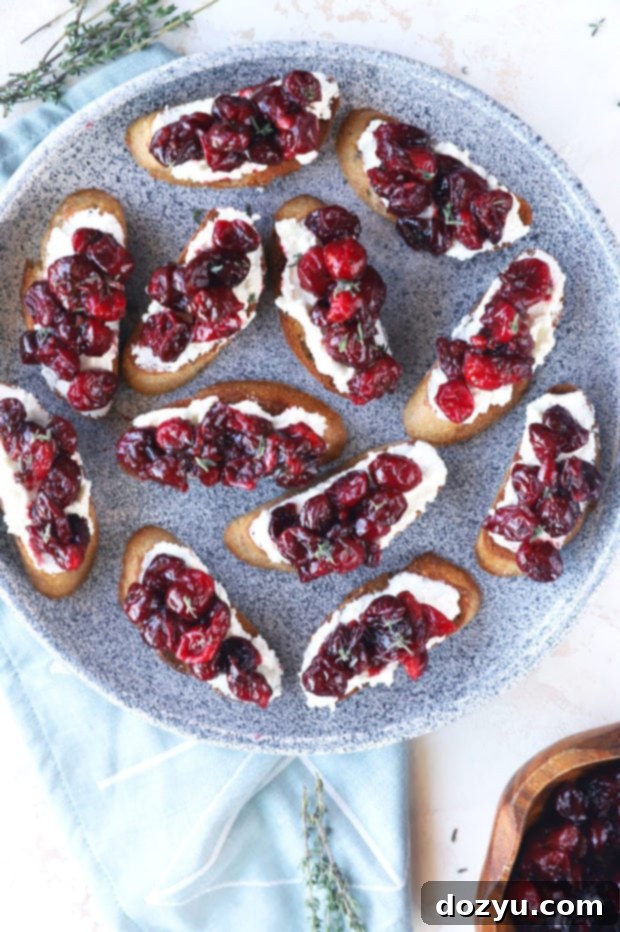 Sweet and Tangy Roasted Cranberry Goat Cheese Crostini 5 Image of roasted cranberry goat cheese crostini