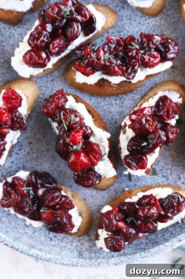 Sweet and Tangy Roasted Cranberry Goat Cheese Crostini 8 Overhead image of cranberry crostini