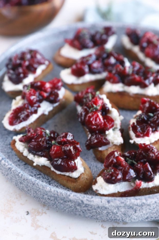 Sweet and Tangy Roasted Cranberry Goat Cheese Crostini 9 img 38771 8 1