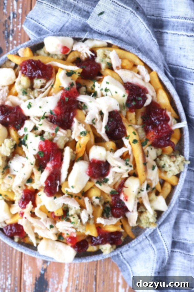 Overhead image of Thanksgiving leftover poutine, golden fries topped with shredded turkey, stuffing, generous gravy, and cheese curds, with pops of cranberry sauce