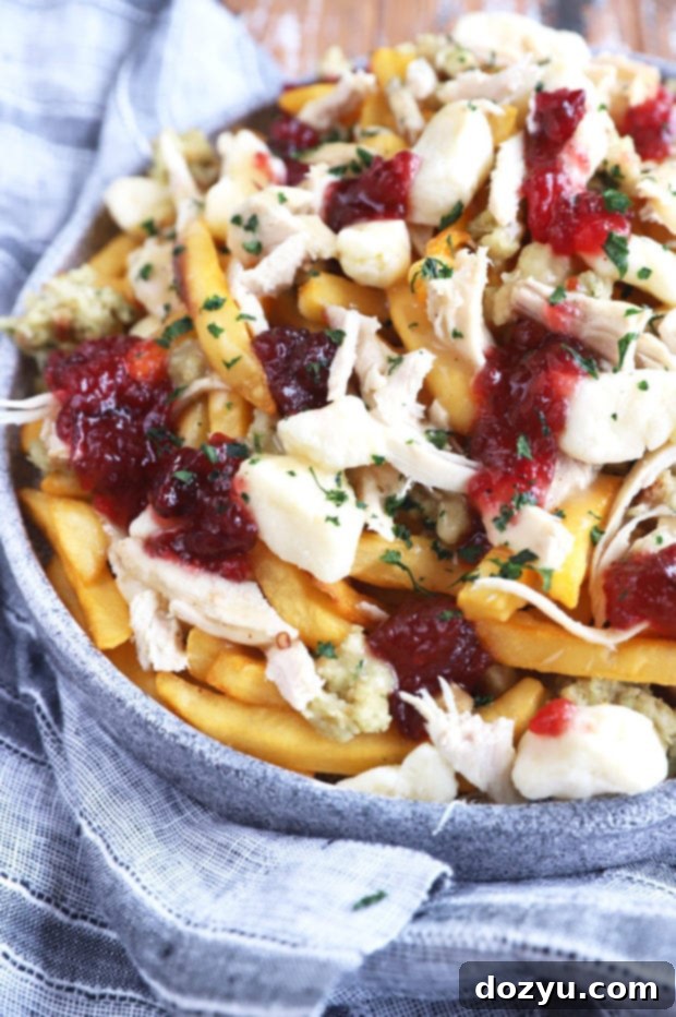 Close-up image of Poutine made with Thanksgiving leftovers, showing the melted cheese curds and rich gravy