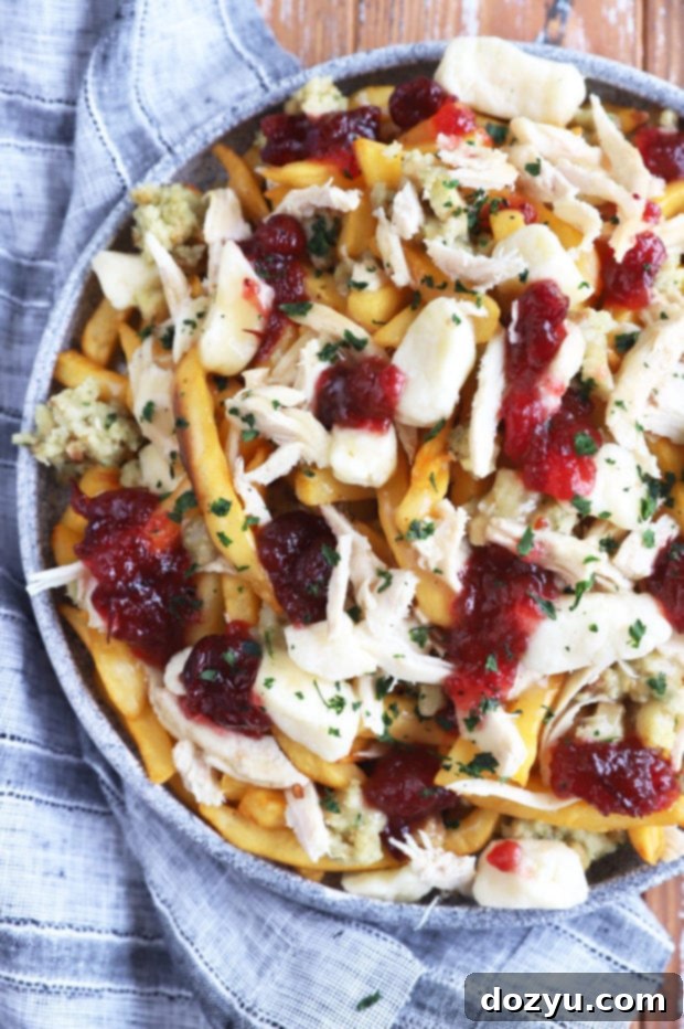 Overhead image of fries, shredded turkey, and rich gravy combined on a platter, before cheese curds and cranberry sauce are added
