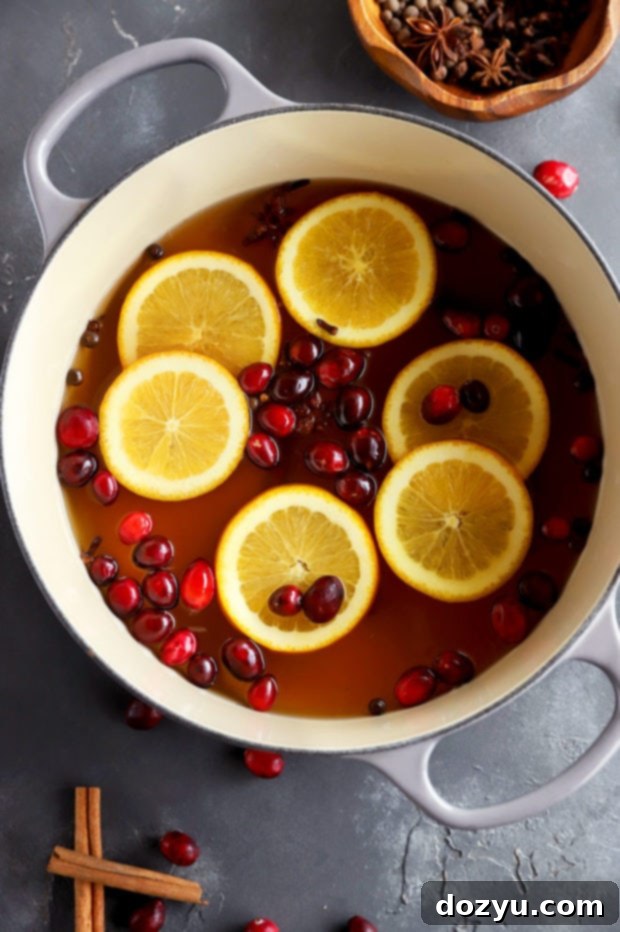 Cozy Spiced Apple Brew 5 Overhead hot mulled cider image