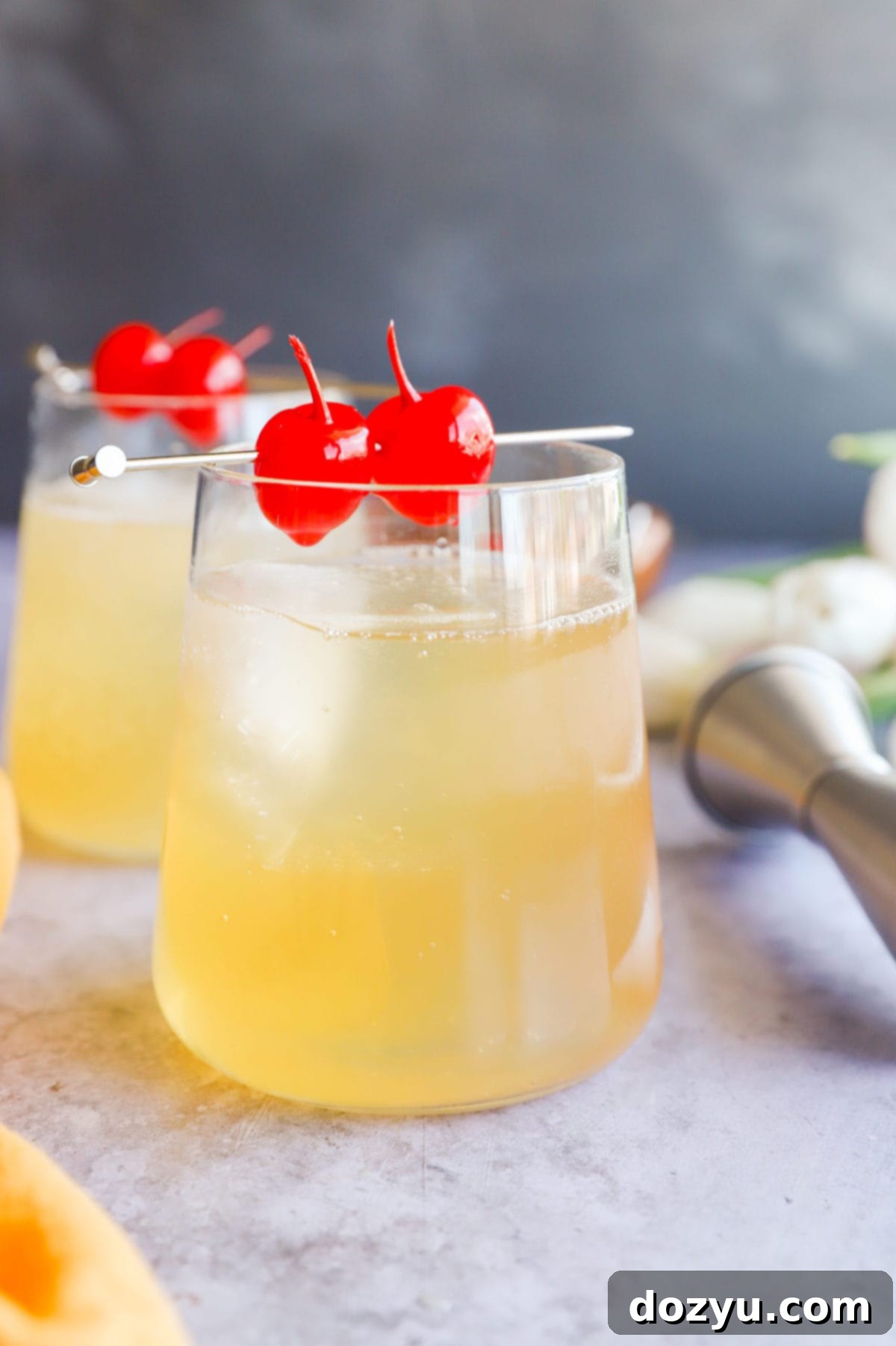 Sparkling Whiskey Sour 9 Side photo of a delicious cocktail made with lemon and whiskey, garnished elegantly.