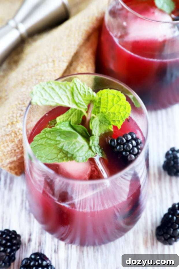 Blackberry Rendezvous 2 A refreshing Blackberry Sidecar cocktail, perfect for summer.