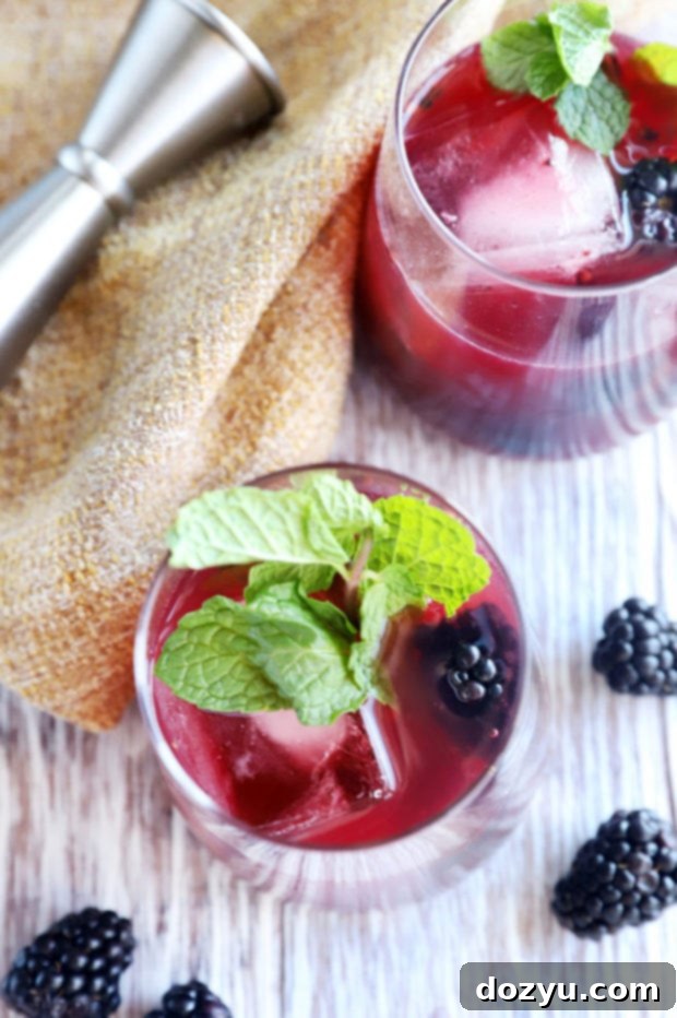 Blackberry Rendezvous 3 Two glasses of Blackberry Sidecar cocktails, garnished with fresh berries and ready to be served on a summer evening.