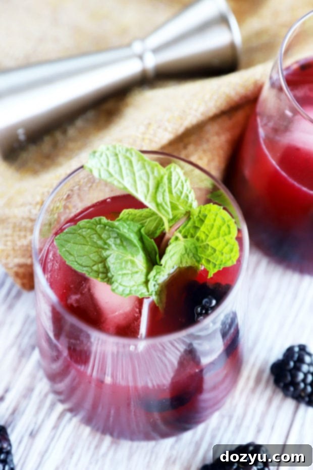 Blackberry Rendezvous 6 A vibrant summer cocktail with fresh blackberries and a sprig of mint, ready for enjoyment.
