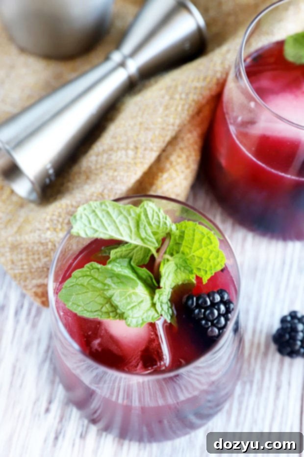 Blackberry Rendezvous 7 Overhead shot of a Blackberry Sidecar cocktail in a rocks glass with blackberries and mint garnish.