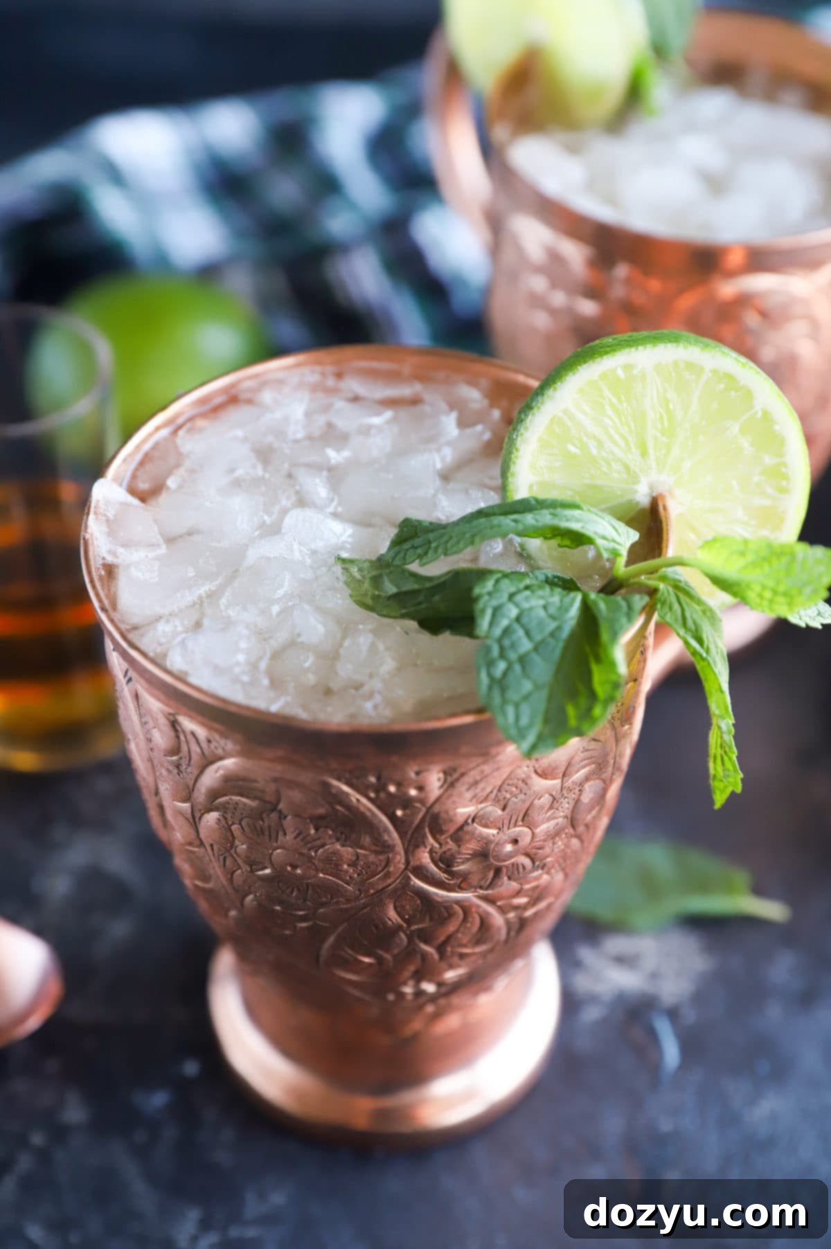 A Proper Irish Mule 8 Image of moscow mule in copper mug with mint