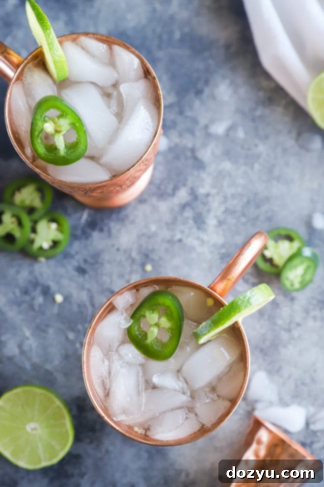 Overhead photo jalapeno mexican mule
