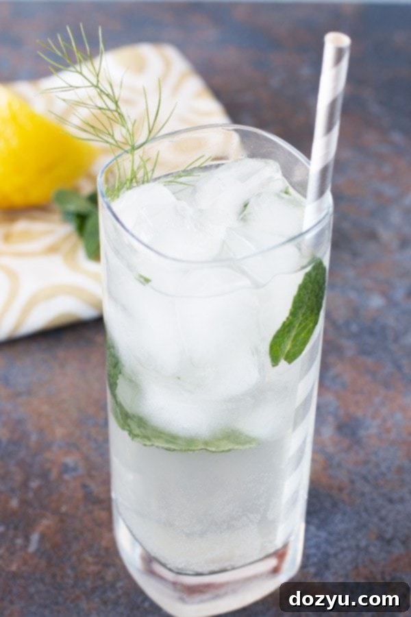 Fennel Fresh Vodka Sparkle 2 Fennel Lemon Vodka Fizz | cakenknife.com