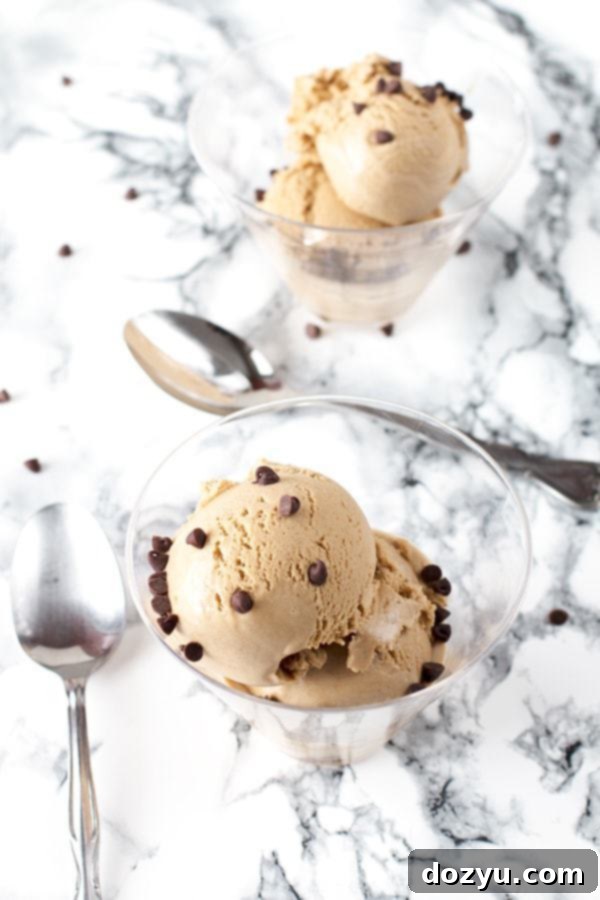 Spiced Coffee Bliss 2 Cinnamon Coffee Ice Cream | cakenknife.com