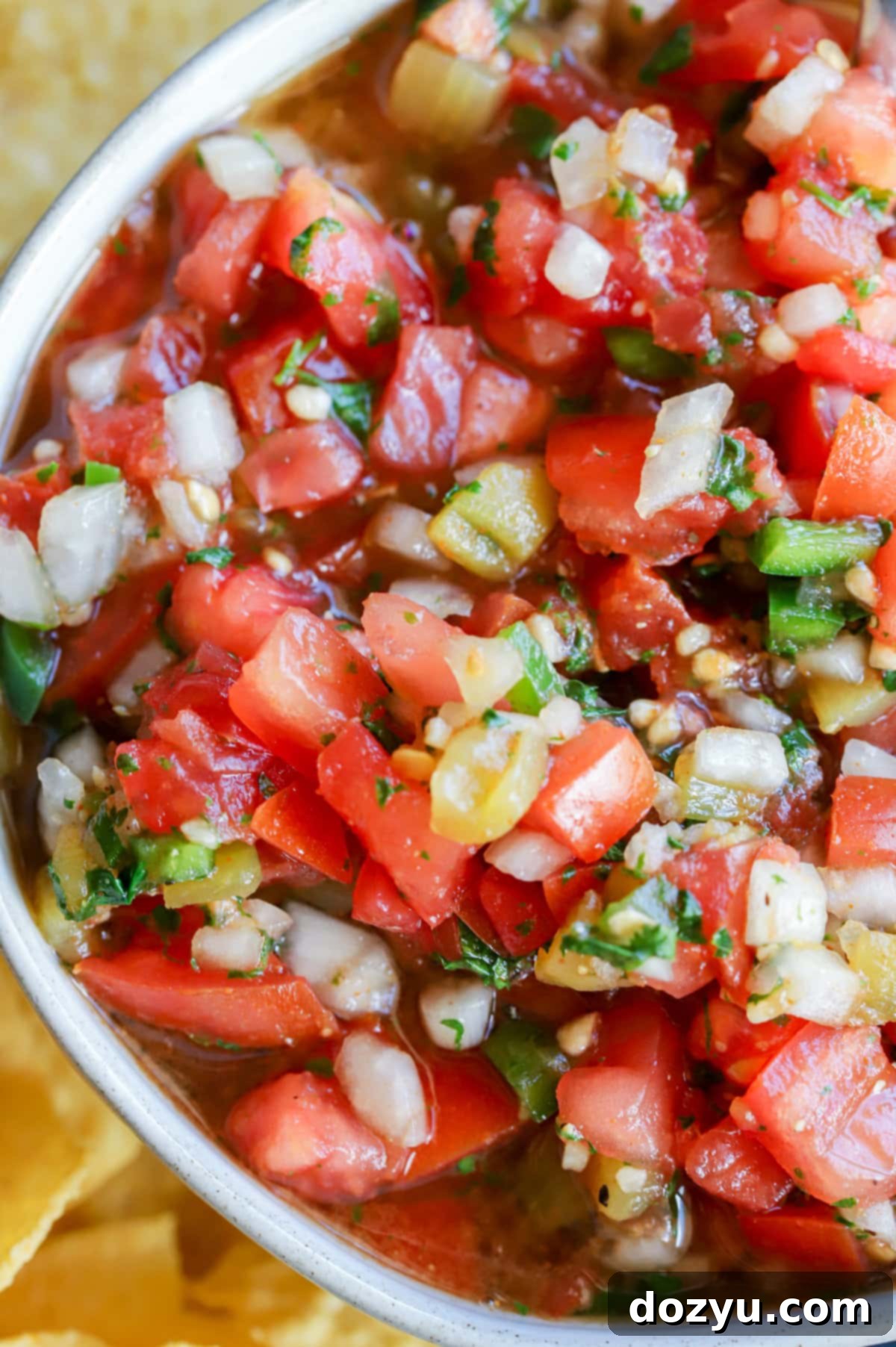 Hearty Salsa 10 Overhead image of homemade chunky salsa in a bowl with fresh ingredients