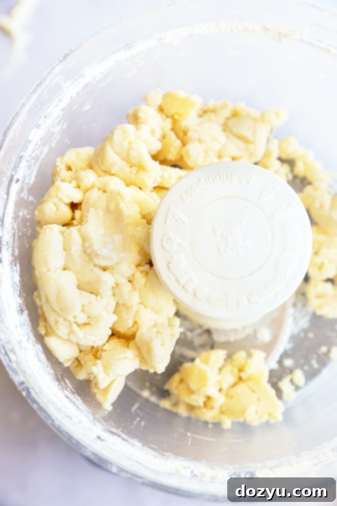 Perfecting Your Galette Dough 5 Galette dough in food processor picture