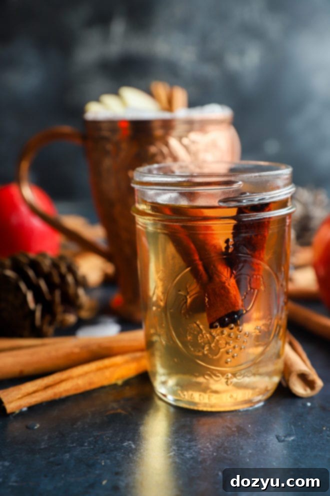 Ingredients for Cinnamon Simple Syrup: water, sugar, cinnamon sticks, and vanilla extract.