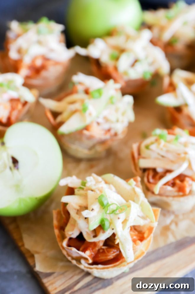 Spicy BBQ Wonton Bites, Apple Slaw Cool 3 img 41311 2