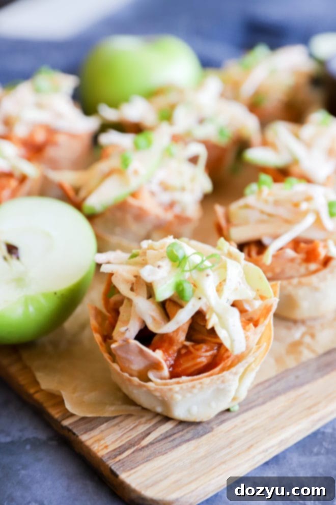 Spicy BBQ Wonton Bites, Apple Slaw Cool 9 img 41311 8