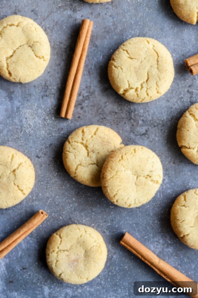 Spiced Chai Snickerdoodles 3 Overhead photo of chai snickerdoodle cookies