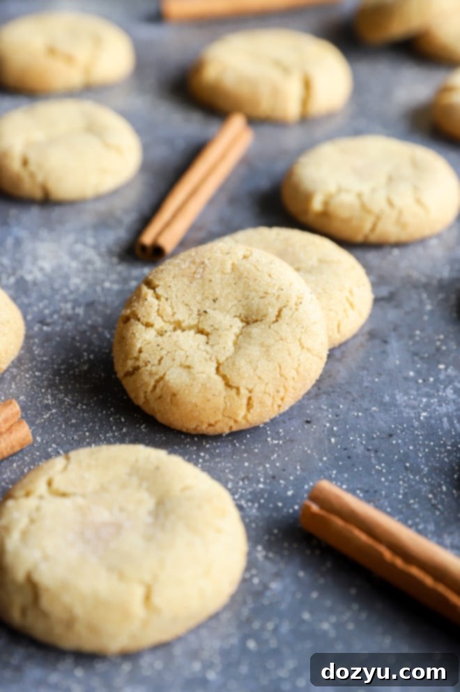 Spiced Chai Snickerdoodles 6 Chai cookies on dark sheet pan image