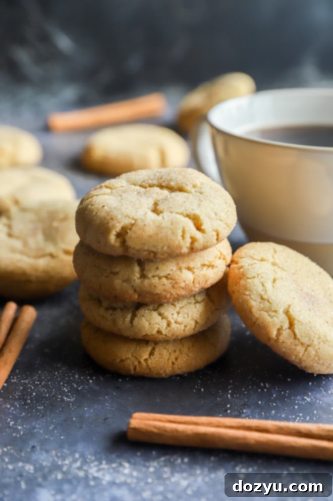 Spiced Chai Snickerdoodles 9 Image of cookies with cinnamon and coffee