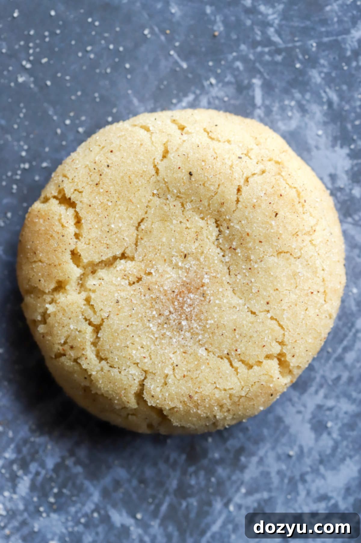 Spiced Chai Snickerdoodles 10 Single snickerdoodle cookie on sheet pan photo