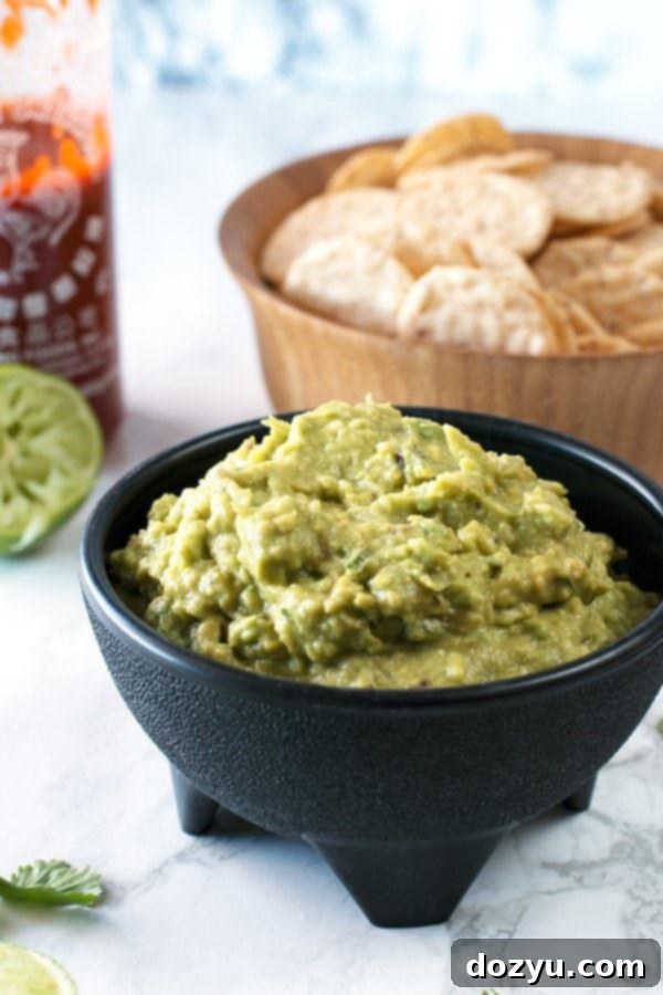 Umami Guacamole 2 img 4150 5